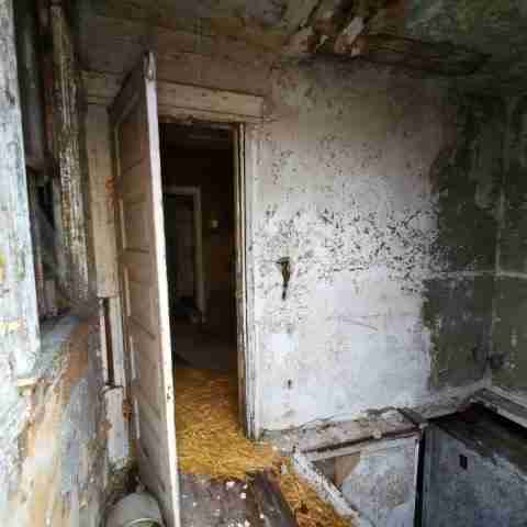 8031 conger (66).jpg